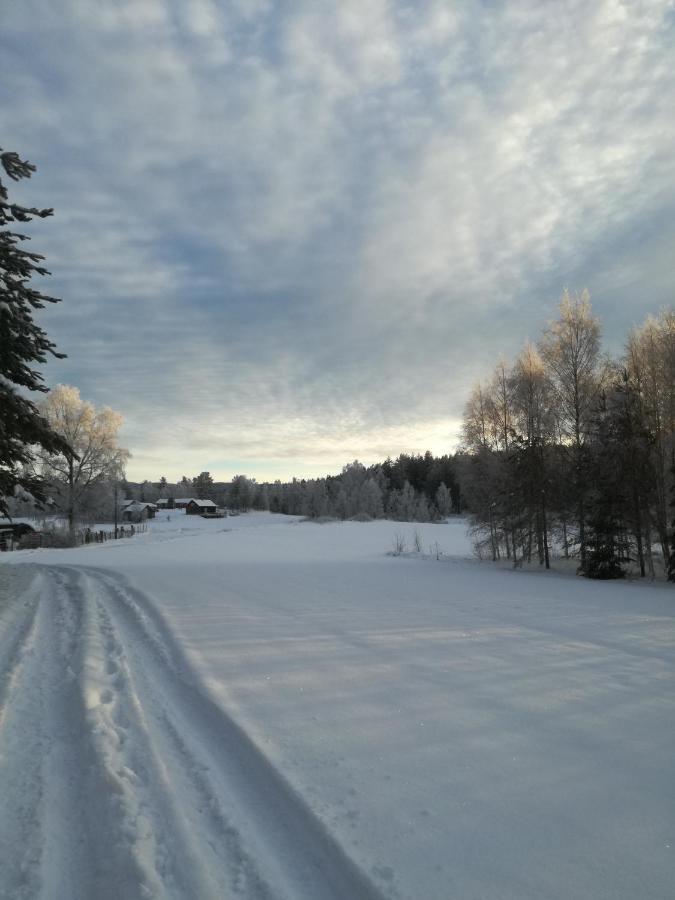 Presterudveien 125 Vikersund Esterno foto