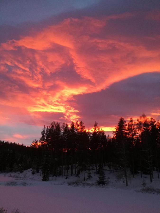 Presterudveien 125 Vikersund Esterno foto